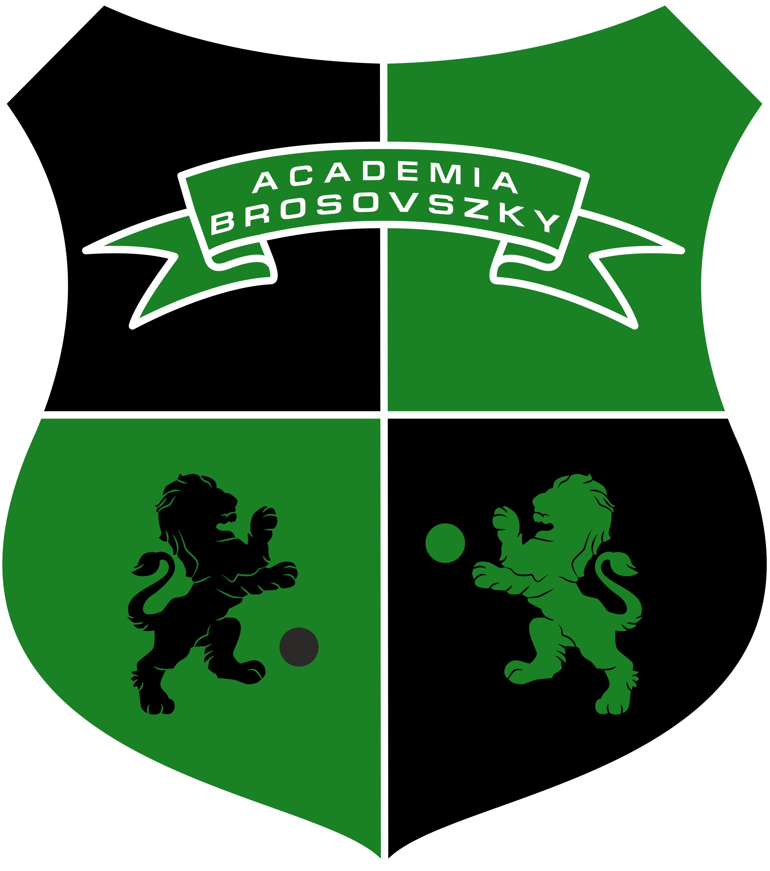 logo academia brosovszky